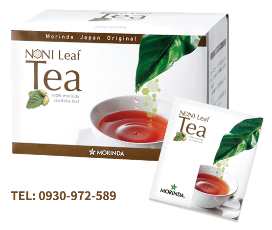 諾麗茶 Noni Leaf Tea